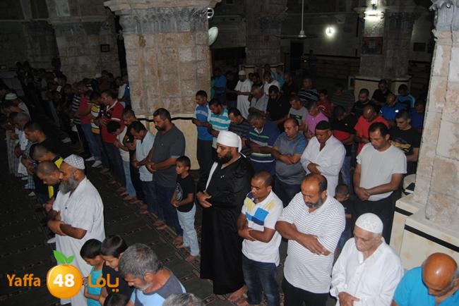 TARAWE7 RAMLA 3OMARI (1).JPG